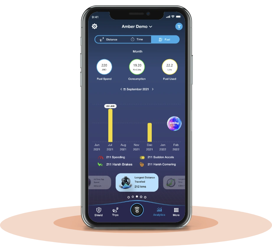 Fuel Analytics