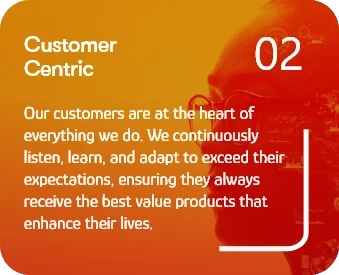 Company Value 2