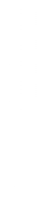 device name