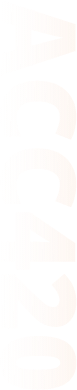 device name