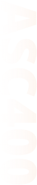 device name